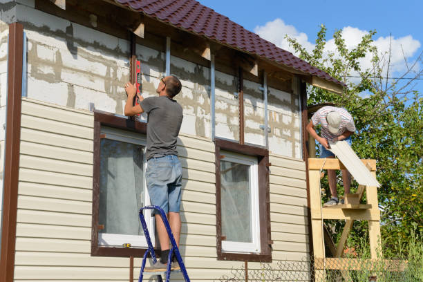 Best Custom Siding Design  in Harlan, IA