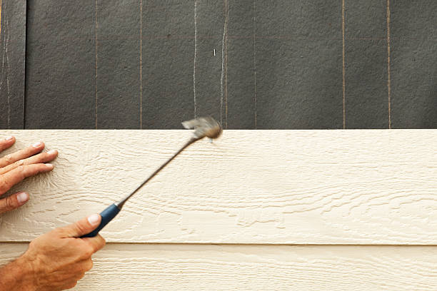 Best Siding Removal and Disposal  in Harlan, IA